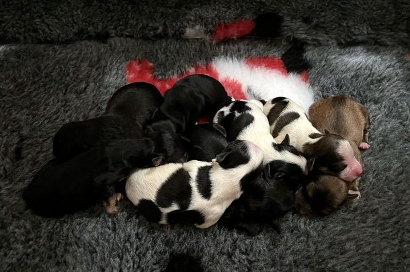 406350003_852150133579760_7040988467504331313_n