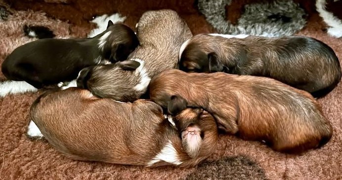 470050590_3888963748082883_761546408930464007_n