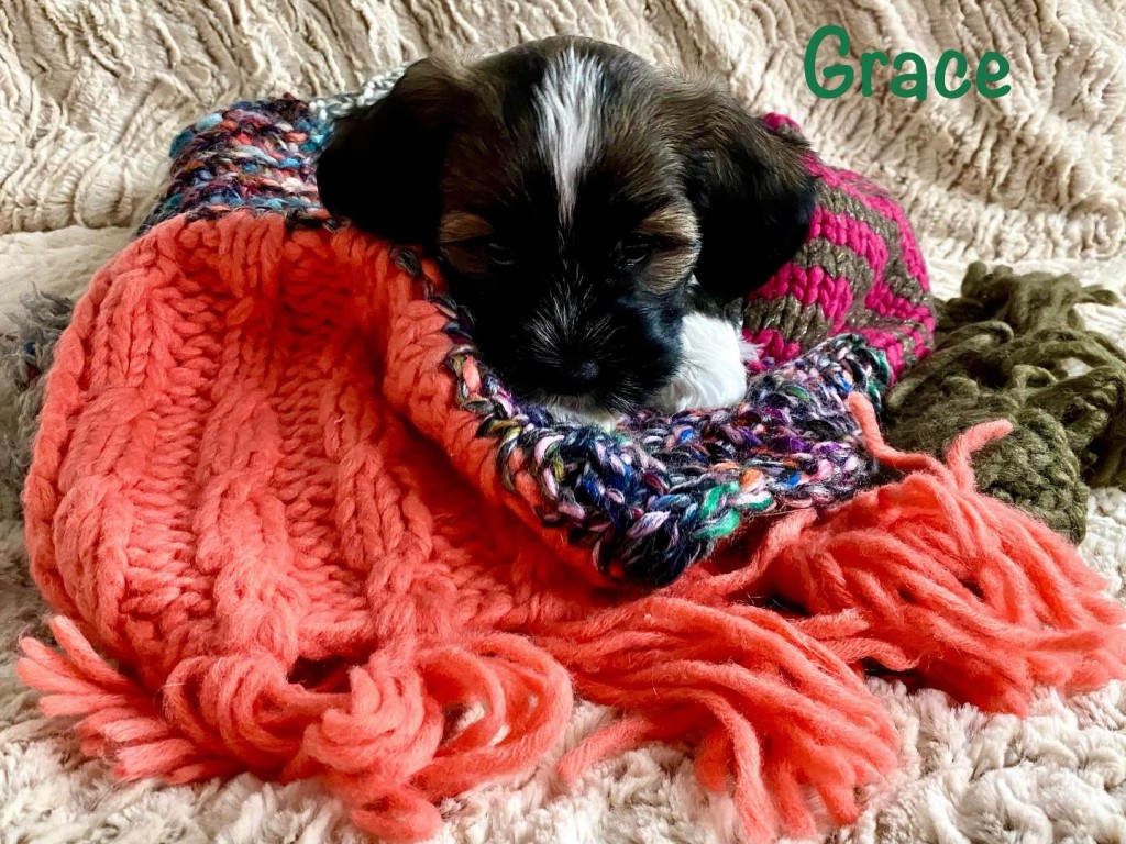 476552610_18075031240730444_3471460557348005100_n