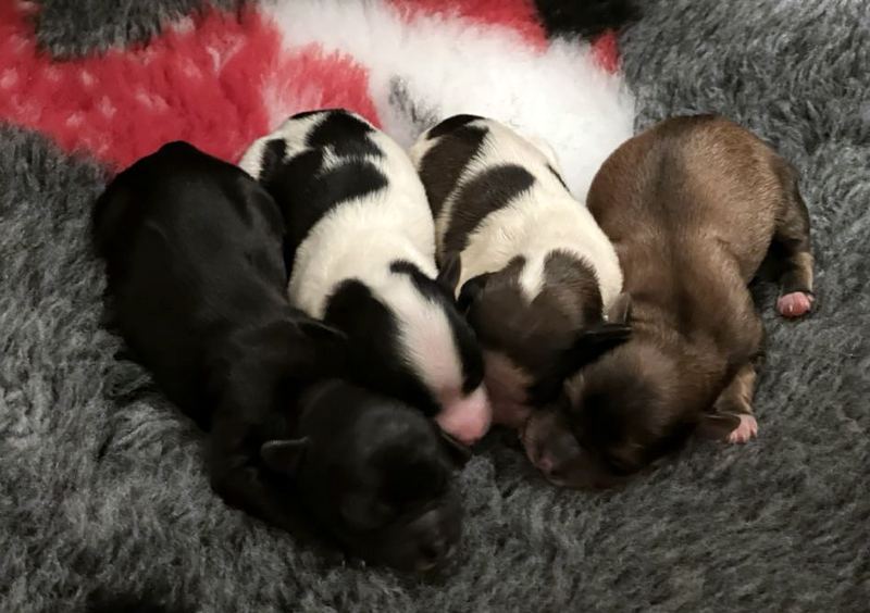 384557560_898996471621614_7166881112072112863_n