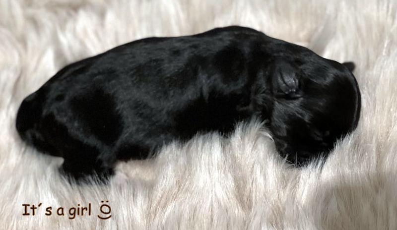 403403575_1817155942049502_4252444548575475722_n