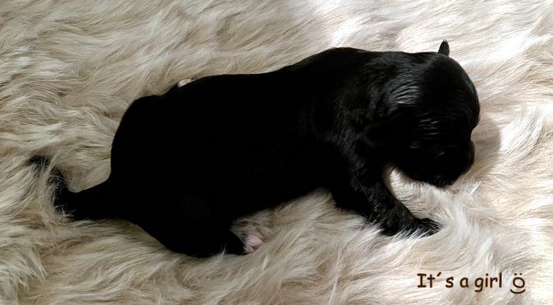 403416311_3480493288869269_4044058319255916816_n