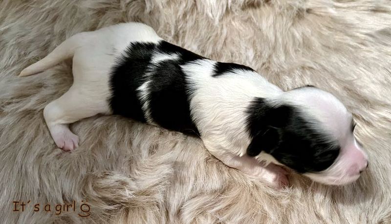 403416548_374307178317235_474197666132970095_n