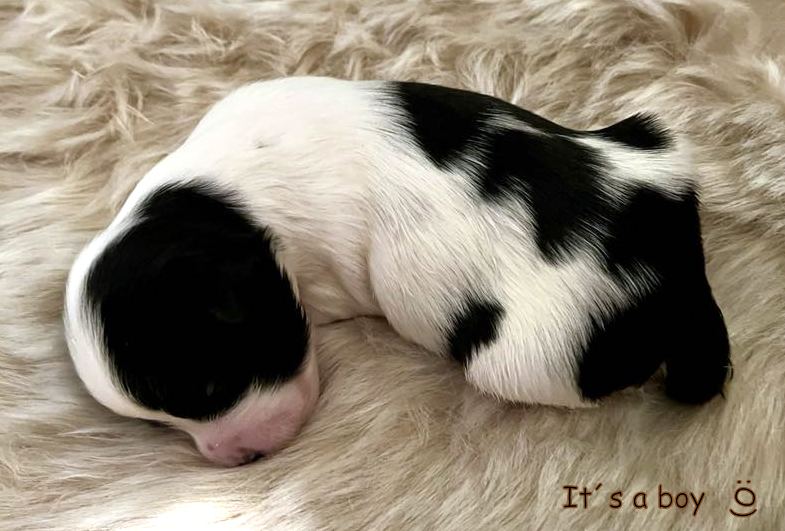 403604148_953247782889287_7179648512478054841_n