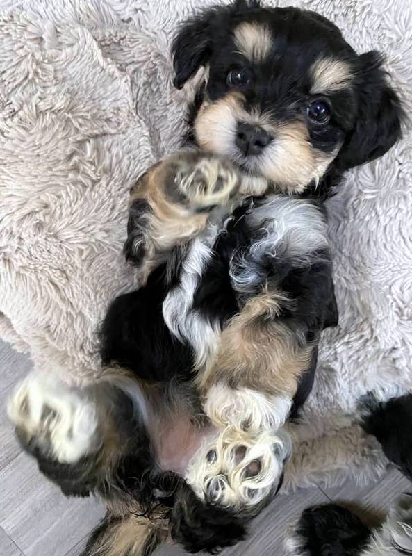 404704137_1062336838380139_278614477639504007_n-002