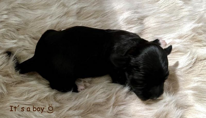 410465531_338010428960341_5195977857131698736_n