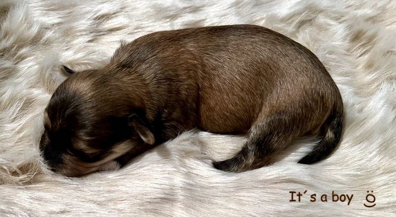 410491647_773188714638373_2105533628798326366_n