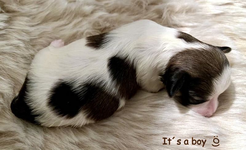 410659495_1045470866692944_3757908513739864325_n