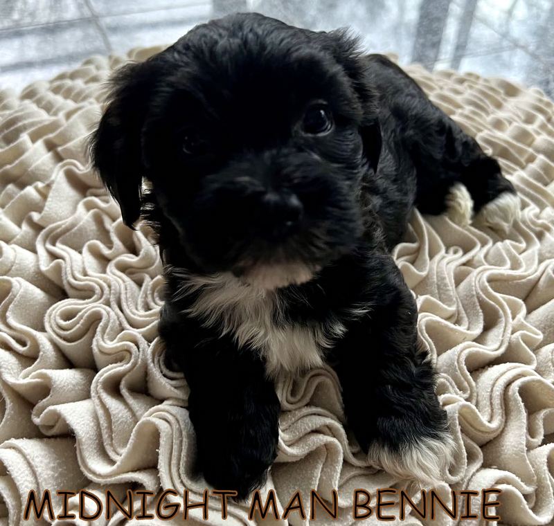 415483493_376882194937042_3046875778033720250_n