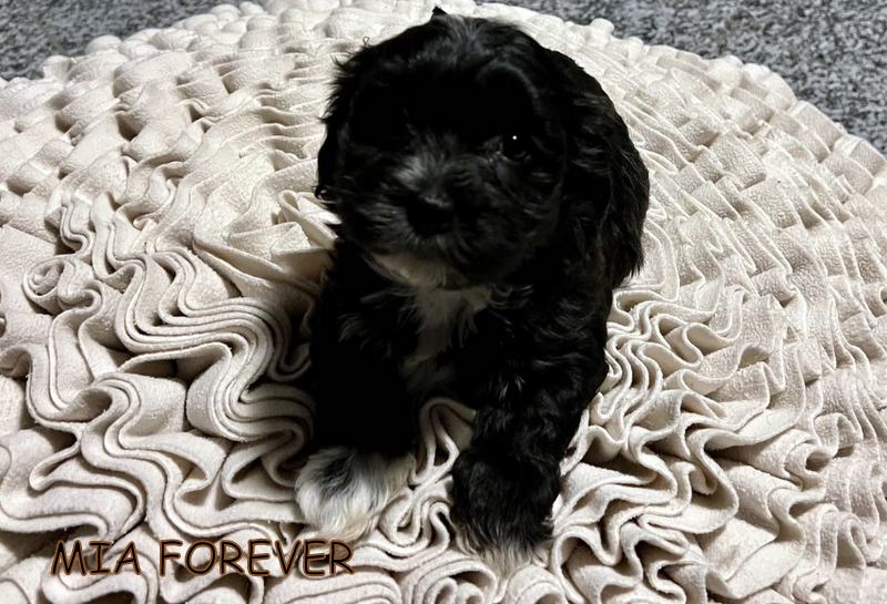 419525821_221947154310731_3839702519195730105_n