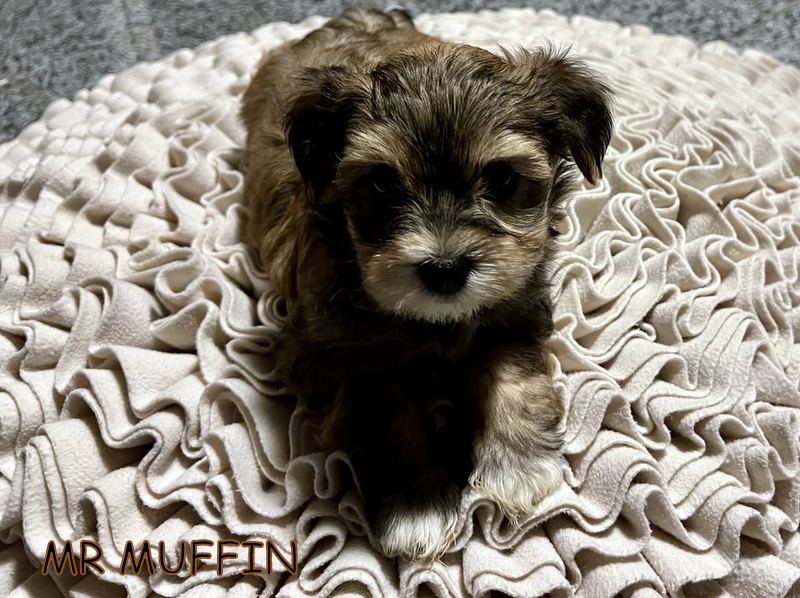 419625452_1479807242599720_7962169187371232178_n