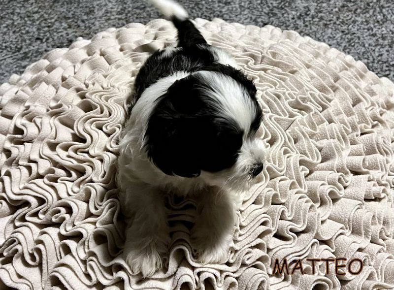 419710260_2499041093609259_1298549345819371499_n