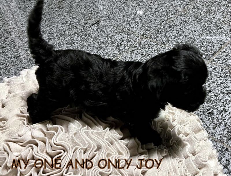 419904781_925520789189482_2964805346221290082_n