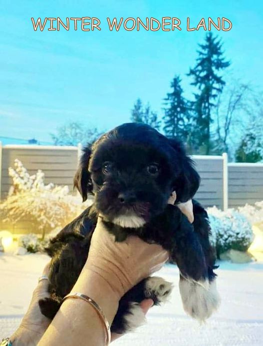 421242034_24511322598514585_1056138646626843923_n