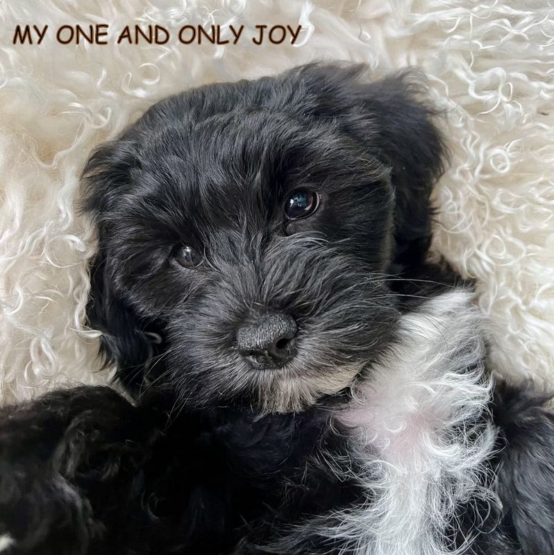 426363985_3547849602212315_1285897213207378537_n