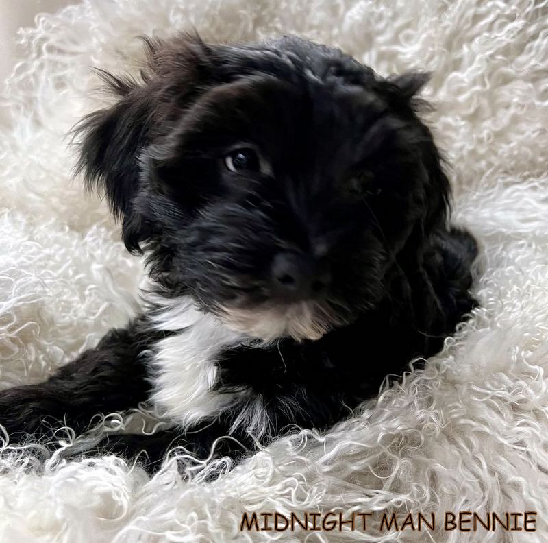 426742399_355269660712946_3503007487112068279_n