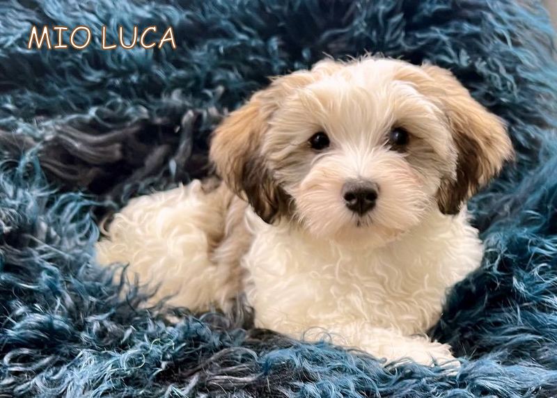 429088395_25576414728616049_1207323099776699613_n