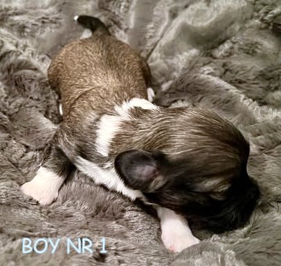 467471766_3962711227340409_9002305447785807680_n