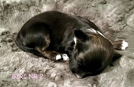 467481677_1727695374478129_7737012513531016111_n