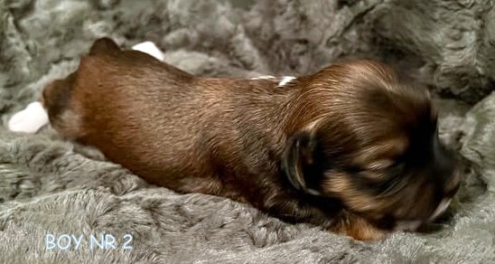 470053007_1129719705527237_2095895728516759299_n