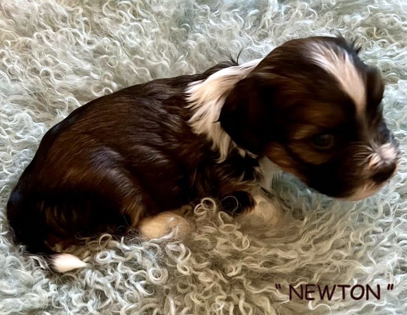 472450747_1058064782740326_1126479297709849348_n