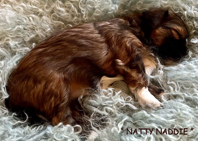 472675115_1618147672918926_2108130799402624371_n