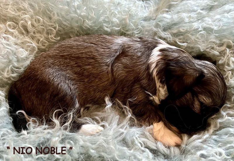 473037514_891361929738333_2698999673522056677_n