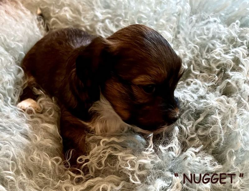 473082935_905804741537047_1794198081997503232_n