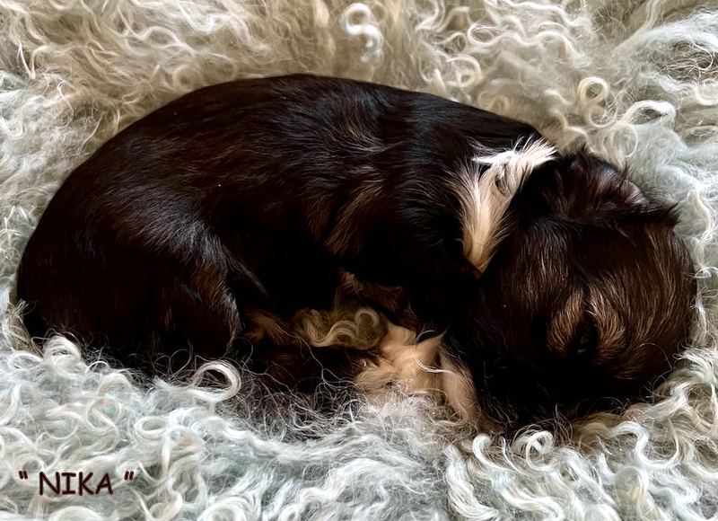 473545994_1269295604356096_7007632884026874428_n